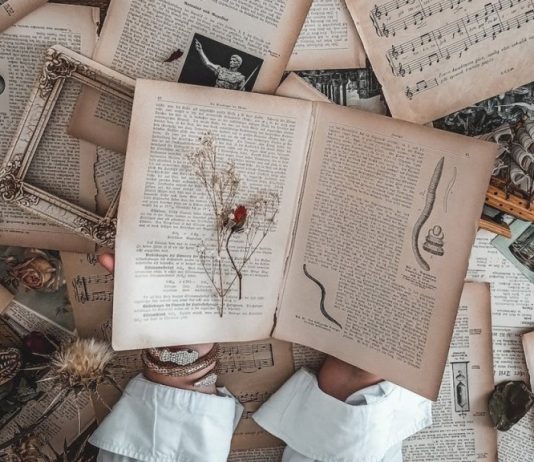 10 carti de fictiune istorica care trebuie citite in 2024
