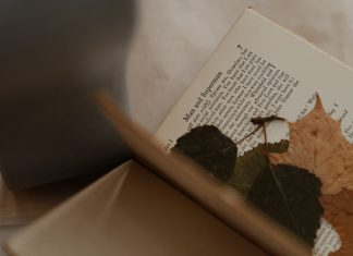 Recenzie: The Bookbinder’s Daughter de Jessica Thorne