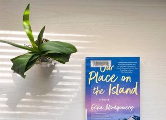 Recenzie: Our Place on the Island de Erika Montgomery