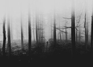 Cele mai anticipate romane pline de mister din ultimul an