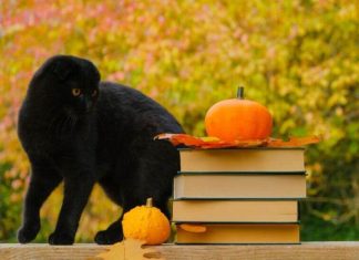 Top carti infricosatoare care sa te sperie in aceasta toamna